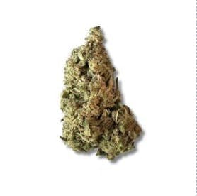 Smoakland - Smoakland Xclusivez | Sherbert | Big Buds | 28g - 1