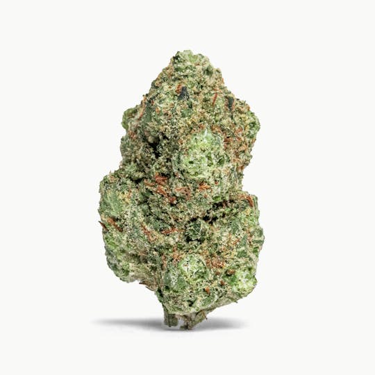MR. ZIPS - MR. ZIPS | Lemon Cherry Runtz | 3.5g Flower - 1