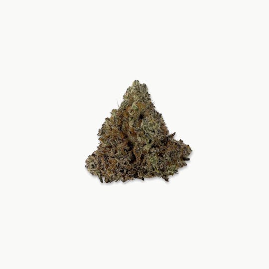 Indico - Donny Burger #1 - Oasis Refinery - 1