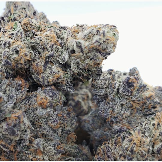 World Class Cannabis - LSD - 1