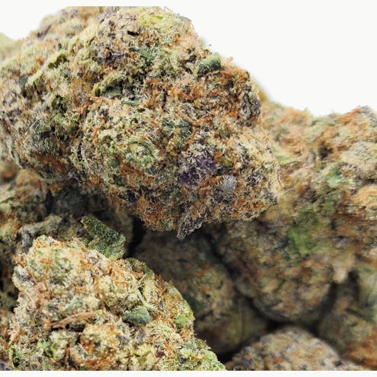 World Class Cannabis - Tropicana - 1