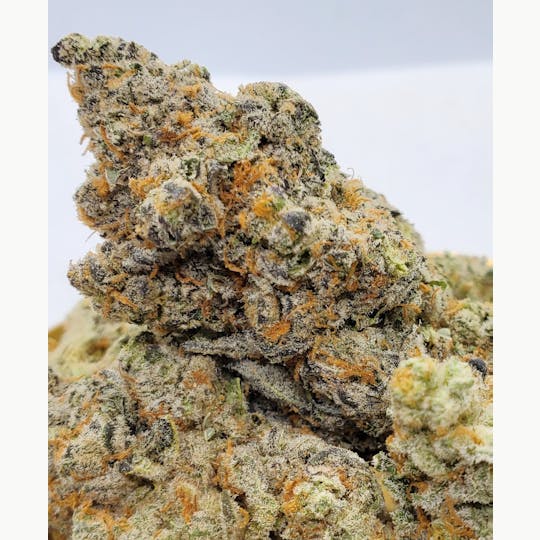 World Class Cannabis - Sweet Diesel - 1