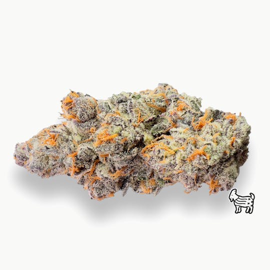 The Laughing Goat - FREON - 1