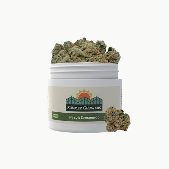 SunMed Growers - Peach Crescendo Flower (7g) - 1