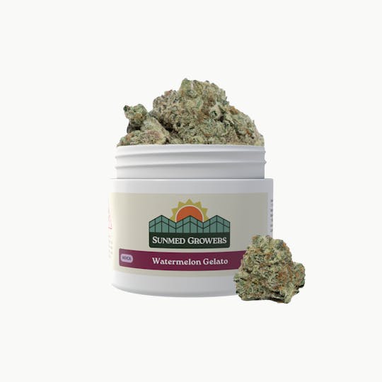SunMed Growers - Watermelon Gelato Flower (7g) - 1