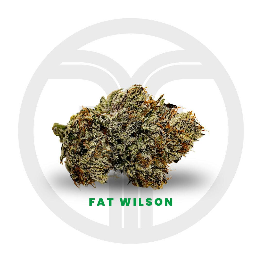 Freshy Fine - Fat Wilson Flower - 1