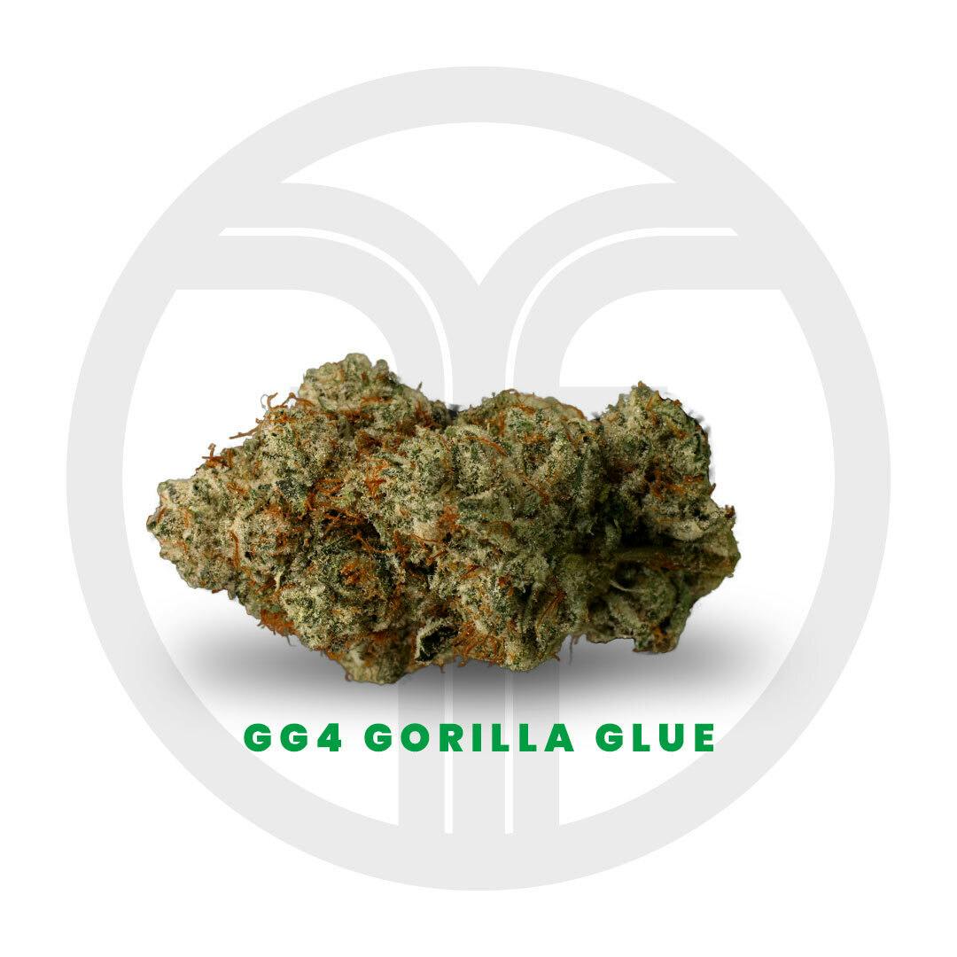 Freshy Fine - GG4 Flower - 1