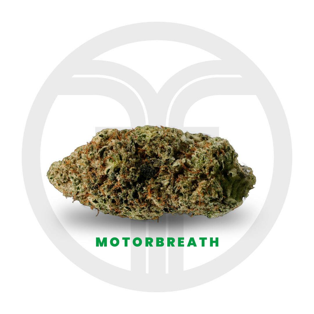 Freshy Fine - Motorbreath Flower - 1