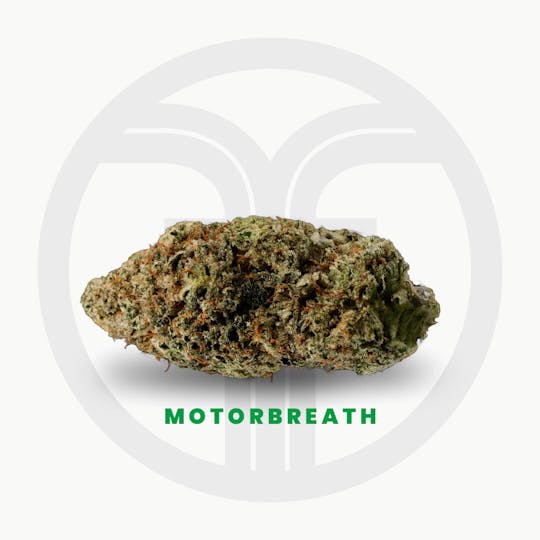 Freshy Fine - Motorbreath Flower - 1