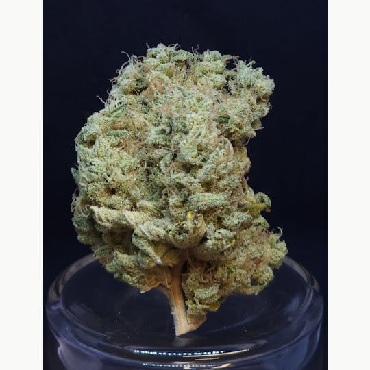 BAM Alaska - Phat N' Nasty 1g Pre-Roll - 1