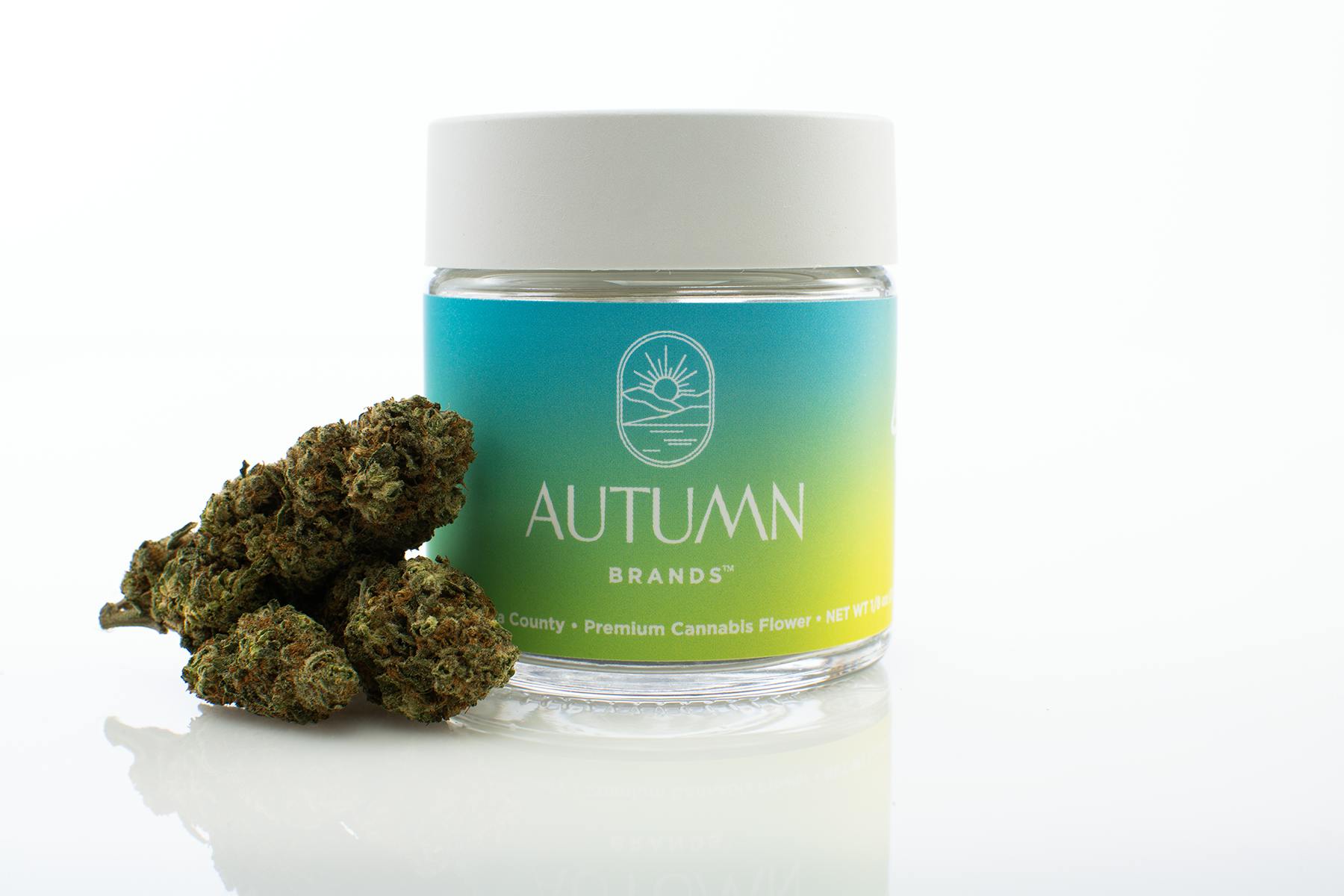 Autumn Brands - Mango Haze Premium Flower 3.5g - 1