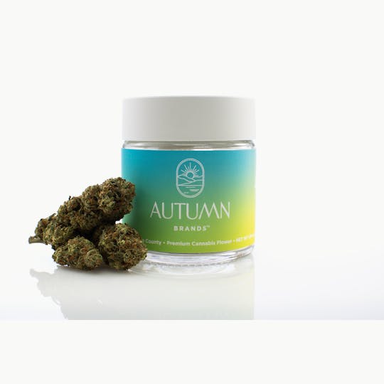 Autumn Brands - Mango Haze Premium Flower 3.5g - 1