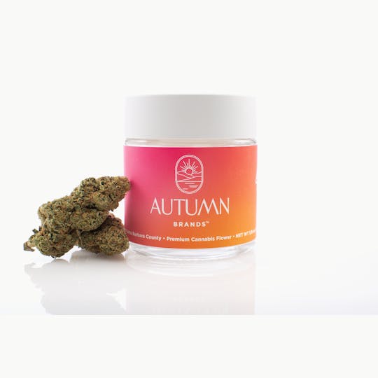 Autumn Brands - Mule Fuel Premium Flower 3.5g - 1