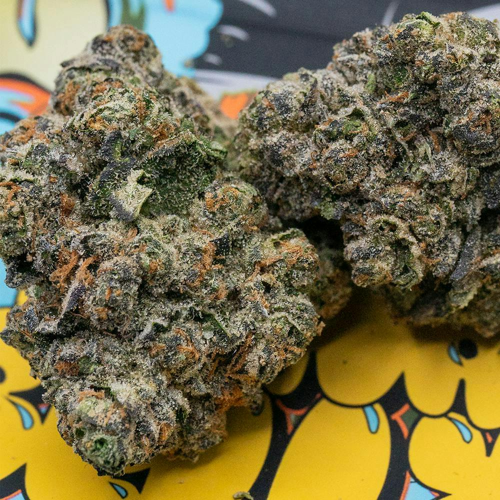 TEDS BUDZ - Teds Budz | Spoiled Tuna Belly | 3.5g - 1