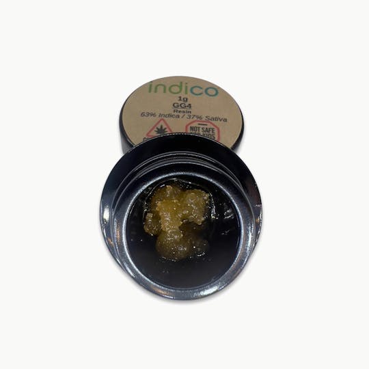 Indico - GG4 - Resin - 1