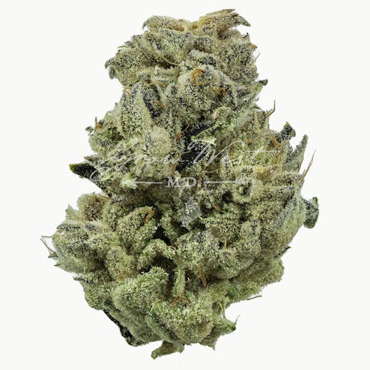 Grow West Cannabis Company - Purple Koala | Gold | Trimmed Flower - 1