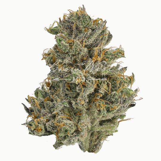 Grow West Cannabis Company - Psychedelic | Gold | Trimmed Flower - 1