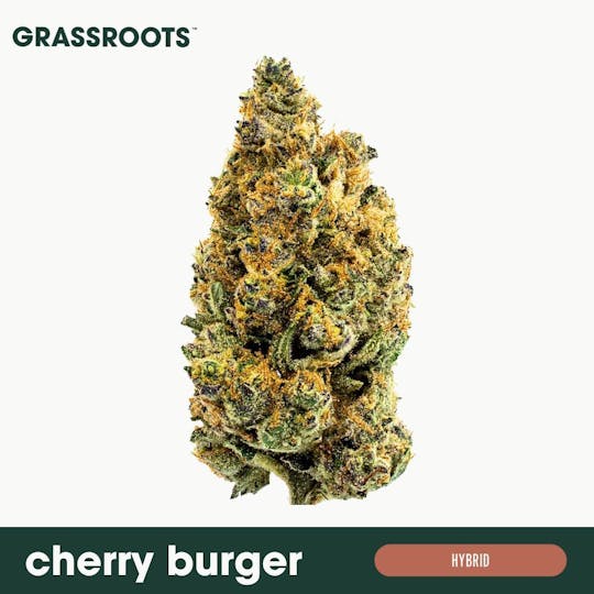Grassroots - Cherry Burger Flower - 1