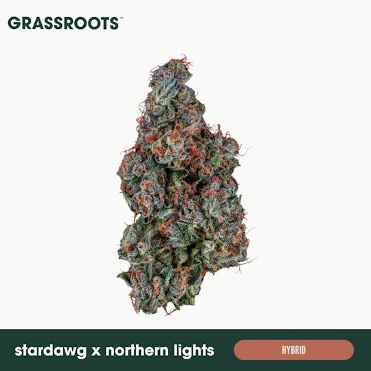Grassroots - Stardawg x Northern Lights - Flower - 1