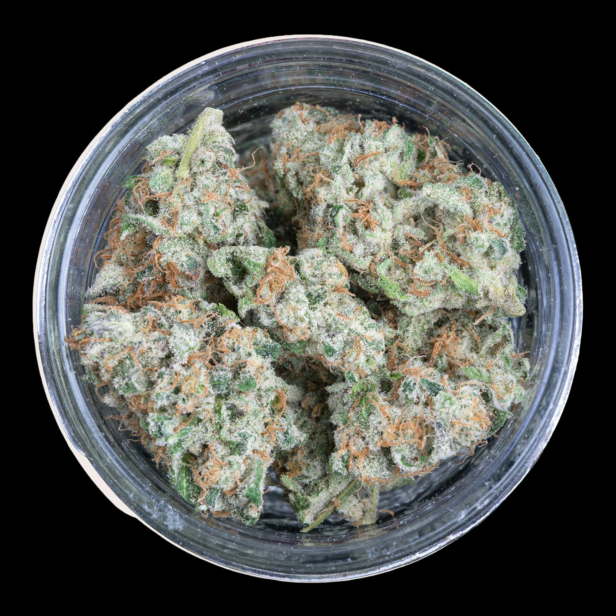 Indico - King Lemon - FRAKTAL Cannabis - 1