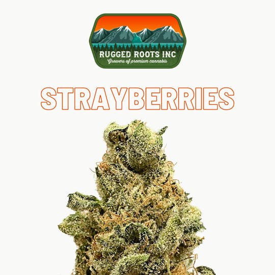 Rugged Roots - Rugged Roots - Strayberries 3.5g Flower - 1