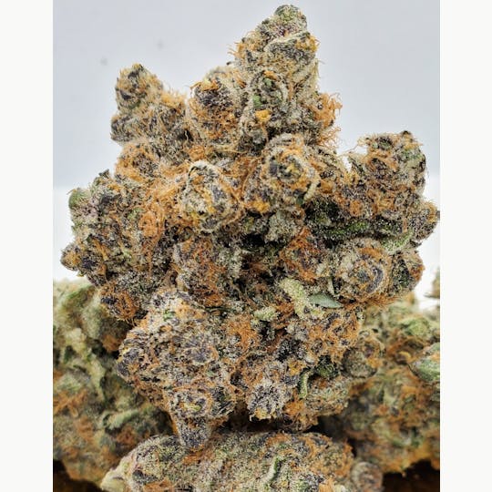 World Class Cannabis - Burmese Mimosa - 1
