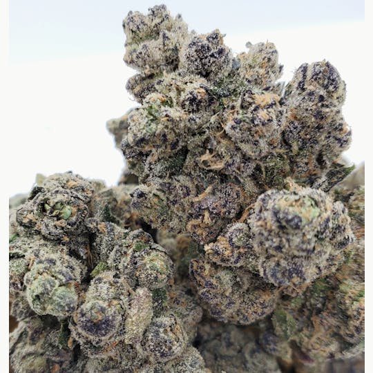 World Class Cannabis - Gorilla Zkittlez - 1