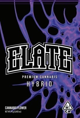 ELATE ENTERPRISES - Julius Cesar 7G - 1