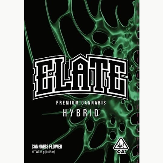 ELATE ENTERPRISES - XMAS LIGHTS 7G - 1