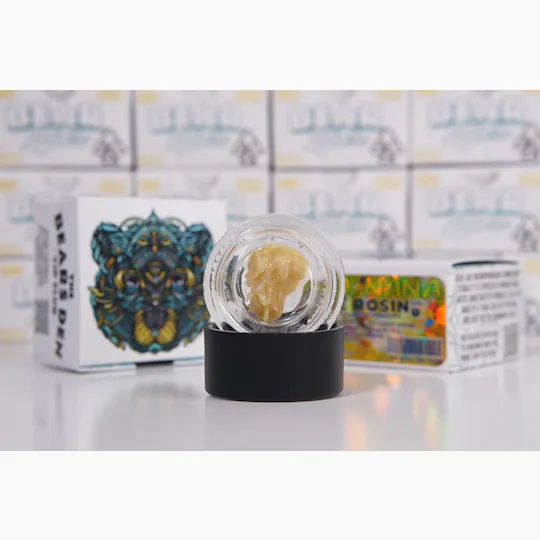 Bear Labs - BEAR Labs - Gak Nana - Rosin Tier 1 - 1