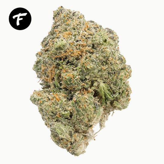 Forte Cannabis - Z Fire - 28.21% - 1