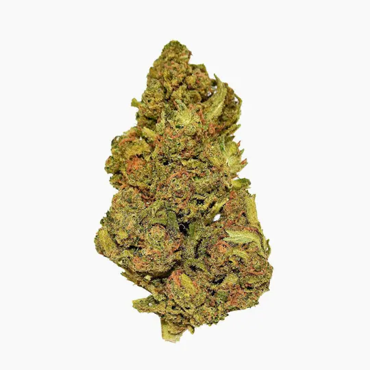 Smoakland - Smoakland Black | Blue Cookies | Big Buds | 3.5g - 1
