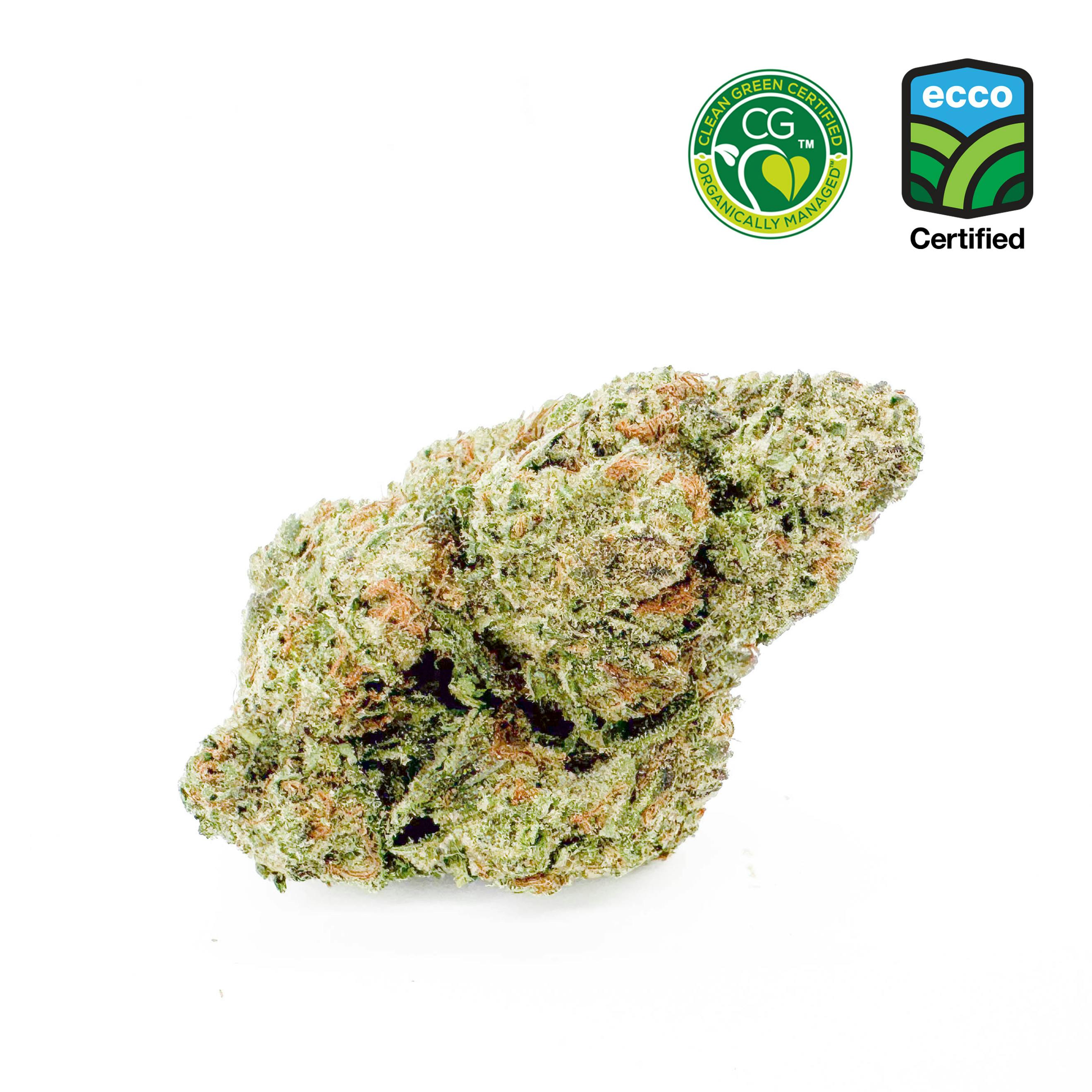 Henry's Original - Henry's Original | Cherry Garcia | Jar Big Buds | 3.5g - 1