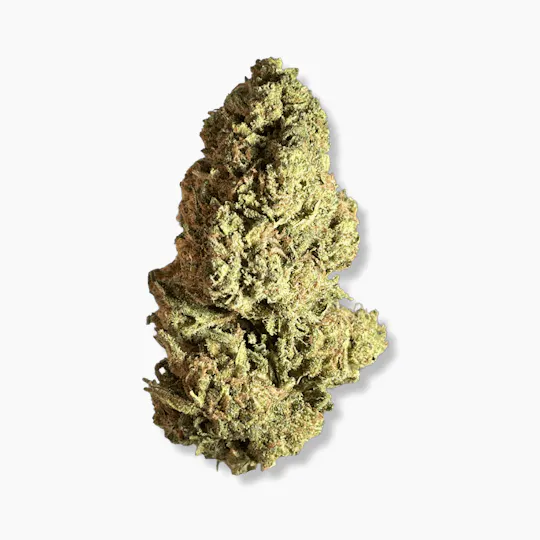 Smoakland - Smoakland Exotix | Blue Rhino | Big Buds | 14g - 1