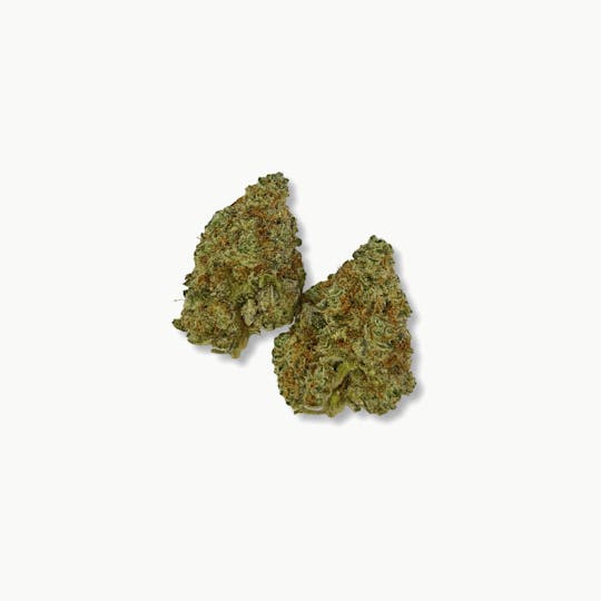 Indico - Crescendo - Casco Botanicals - 1