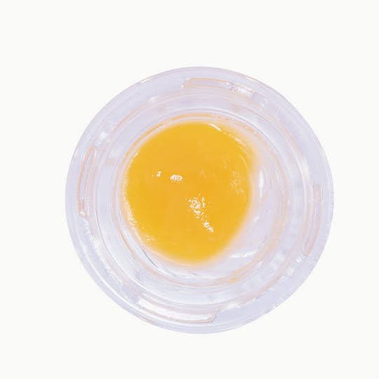 OozeX - Crazy Glue - 1