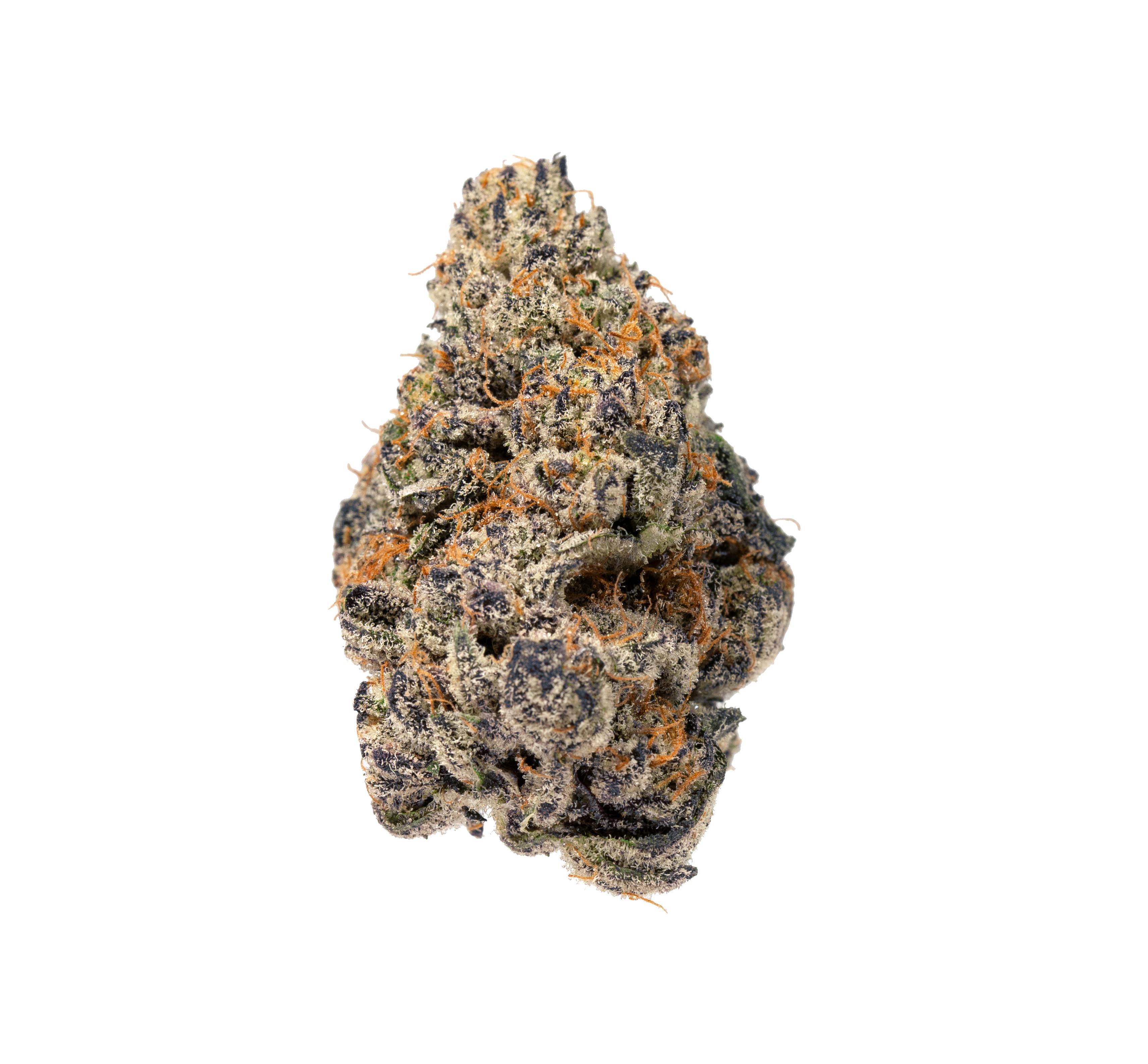 PHASES - Phases | Retrograde | Delight | Big Buds | 7g - 1