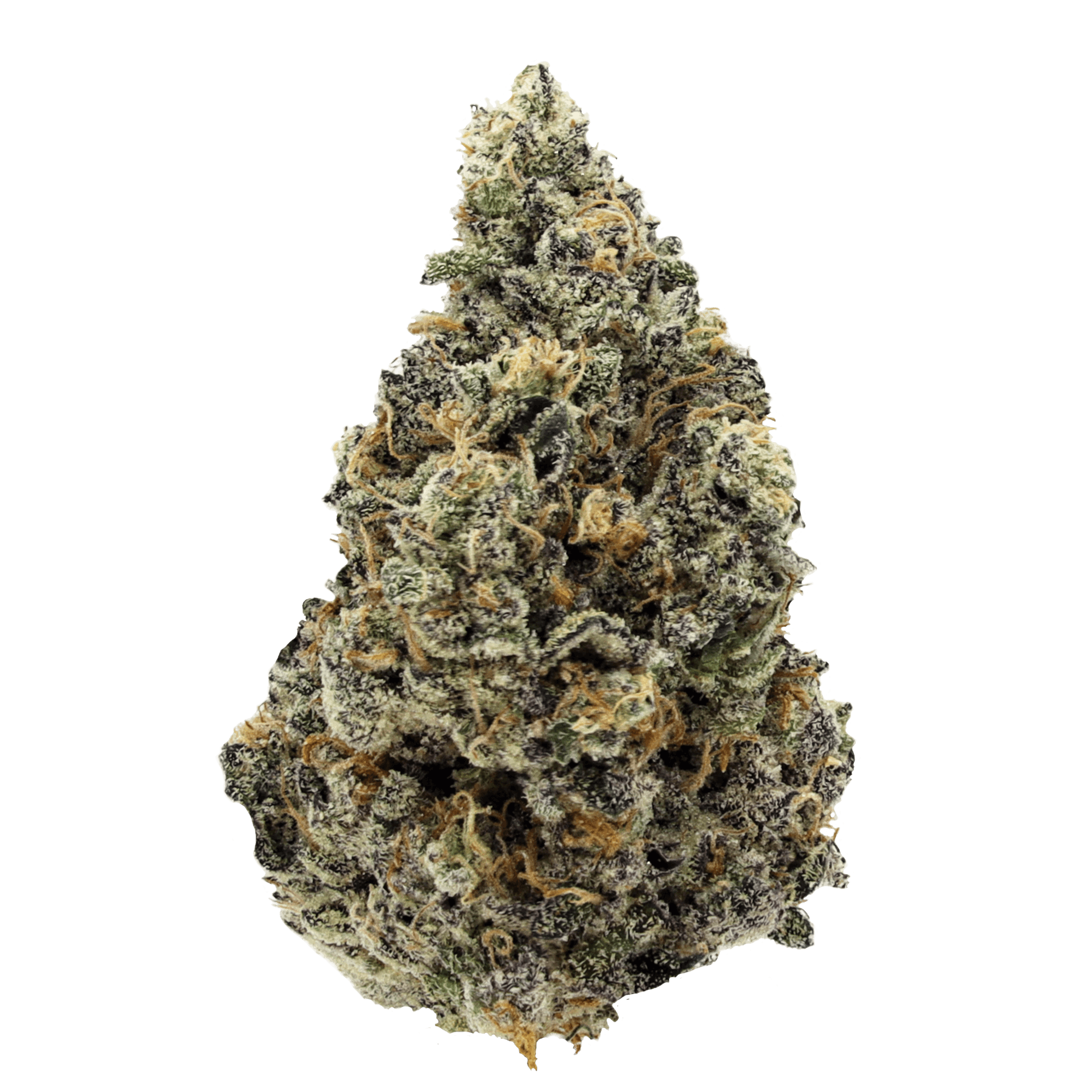 GreenSeal Cannabis Co - Purple Crush - 3.5g Flower - Manitoba - 1