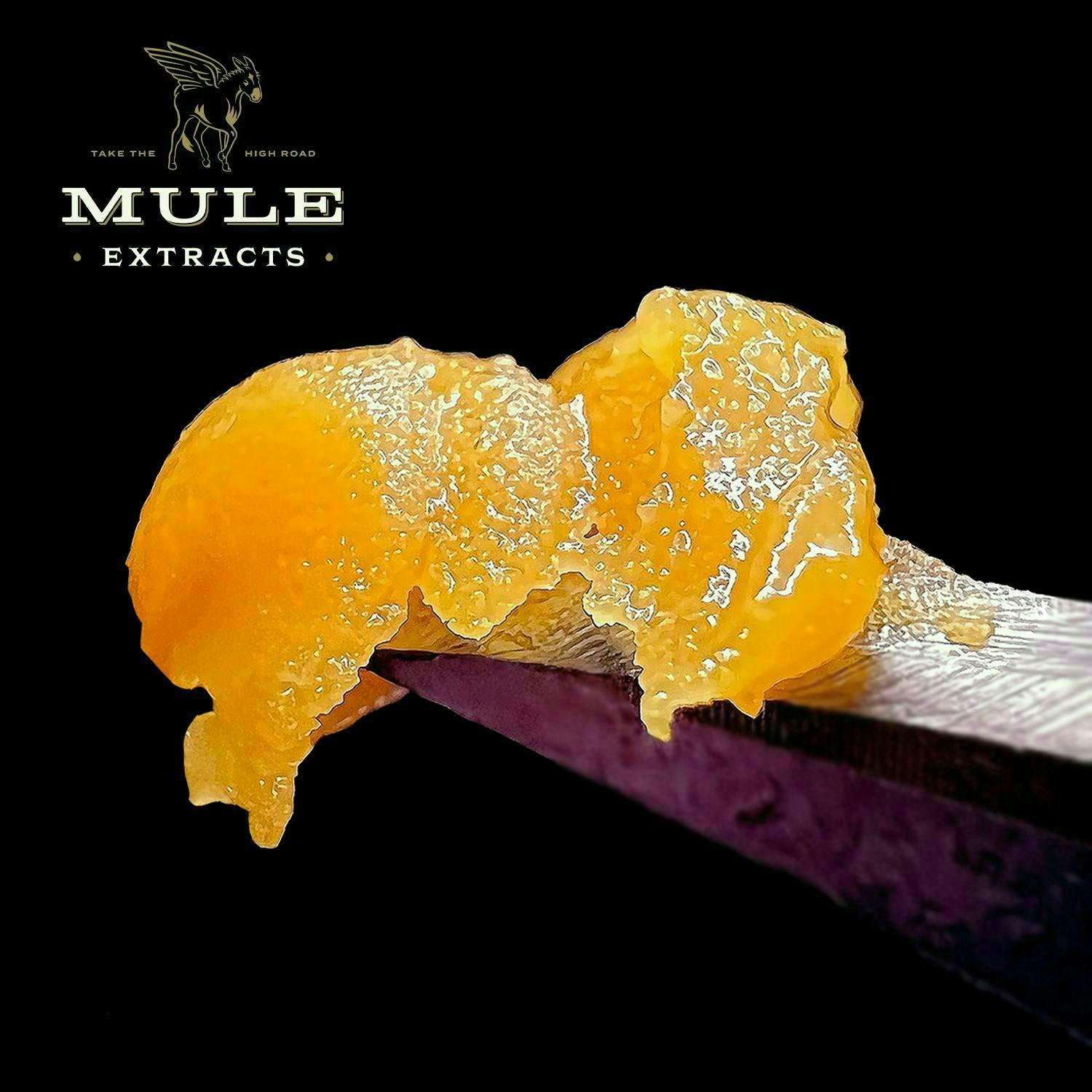 Mule Extracts - Pave Runtz | Cured Resin | 2g - 1