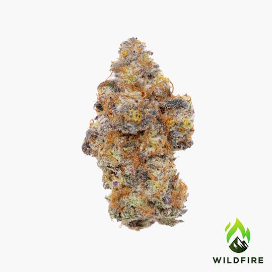 Wildfire - Tropicana Banana Flower - 1