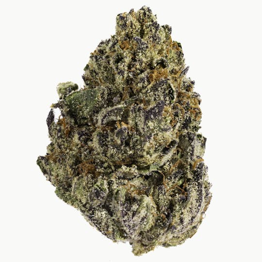 West Coast Cure - Purple Cream - 28G Premium Flower - 1
