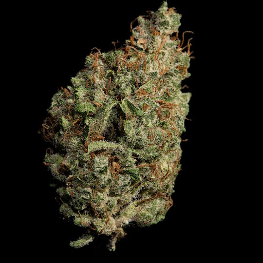 Harney Brothers Cannabis - Mint Jelly Flower - 1