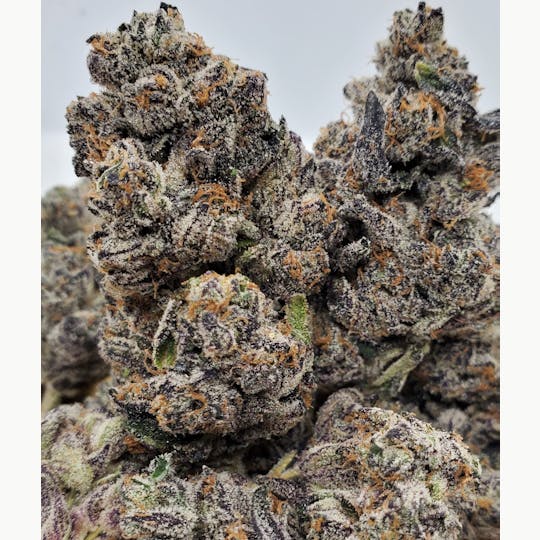 World Class Cannabis - Rainbow Lava - 1