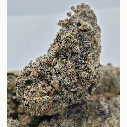 World Class Cannabis - Blueberry Kush - 1