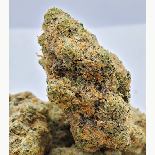World Class Cannabis - Sugar Plum - 1