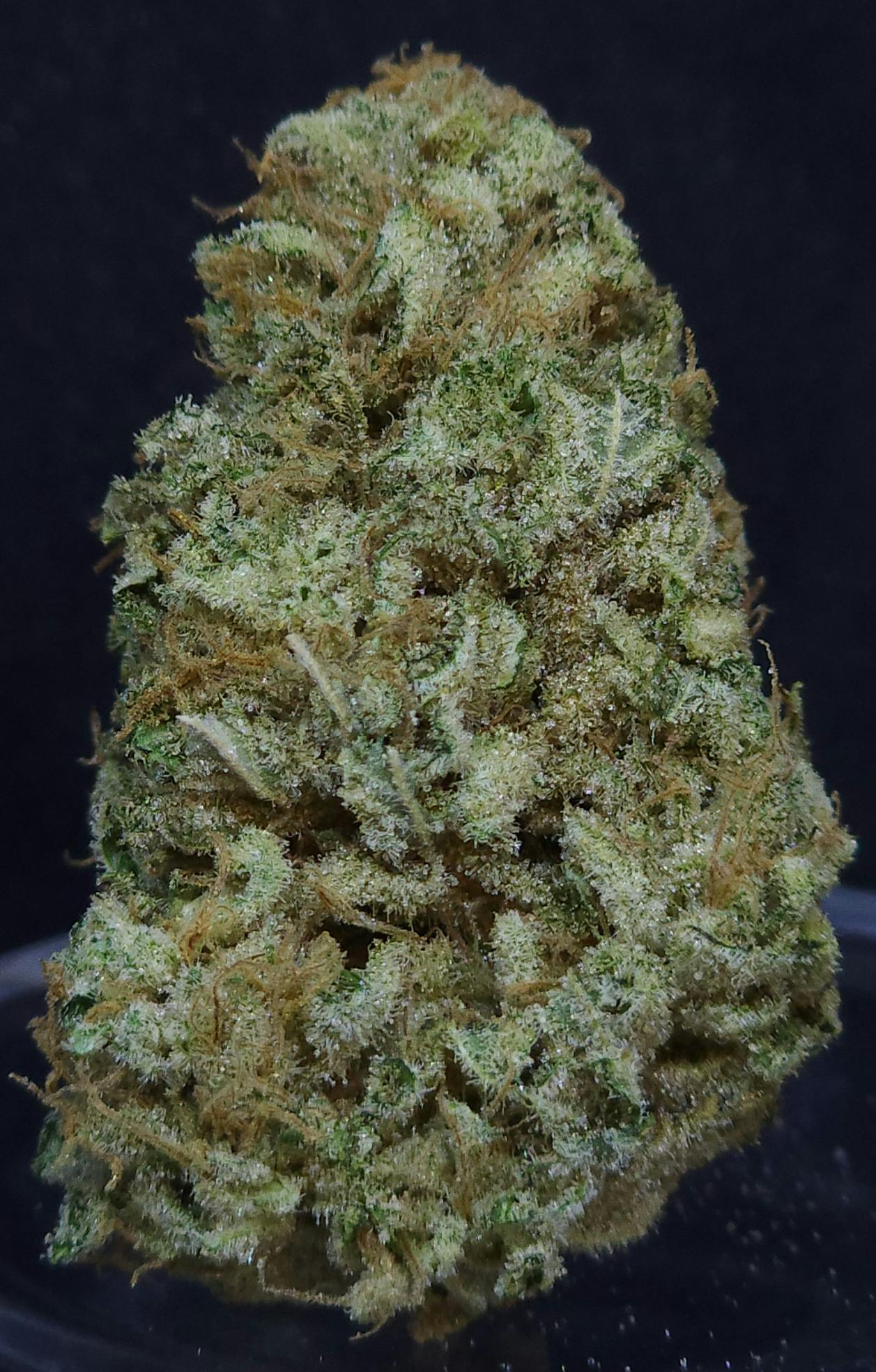 BAM Alaska - Afgoo 1g Flower - 1