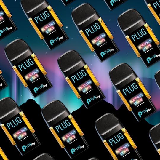 PLUGPLAY™ - VAPE - 1g PLUG™ Washington: Northern Lights - 1