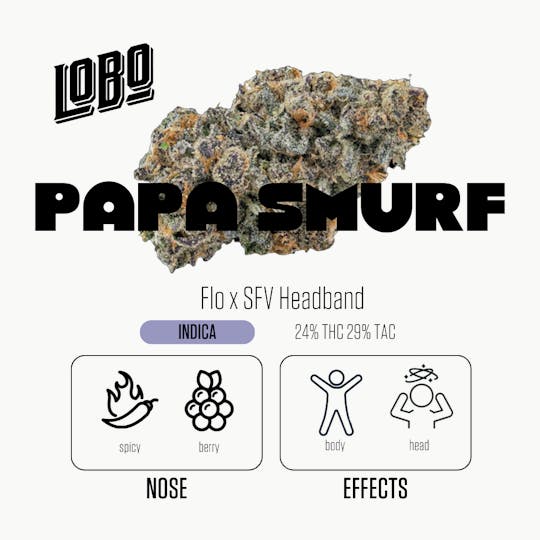 Lobo Cannagar - Pre-Rolled Fuerte - Papa Smurf - 1g - 1