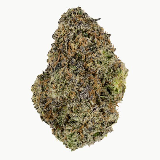 Ember Valley - Pink Certz #11 1G Pop Tube - 1