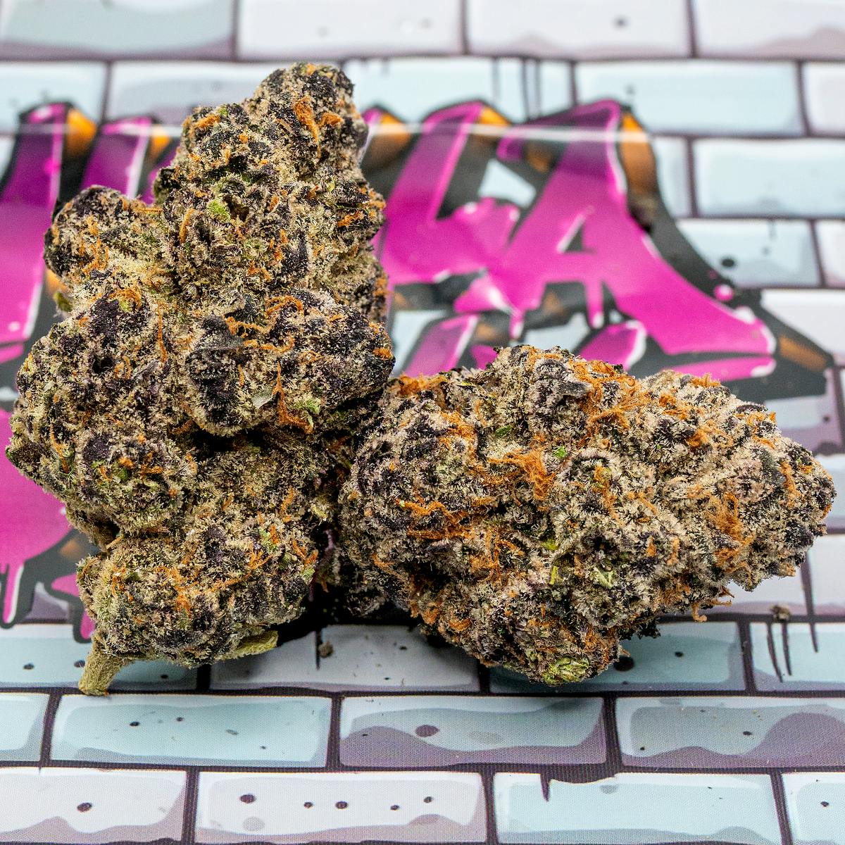 TEDS BUDZ - Hella Jelly - 1